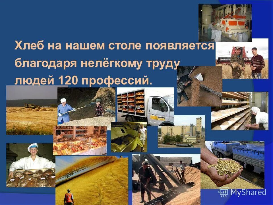 где родился хлеб. появился хлеб. когда появился хлеб. где впервые появился хлеб. история возникновения хлеба.