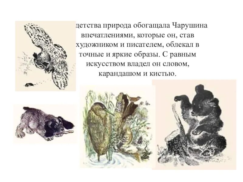 Рассказы чарушина о животных. Тезисный план по рассказу чарушина друзья. Тезисный план по рассказу чарушина друзья. Рассказ чарушина кабан. Чарушин 2 класс.