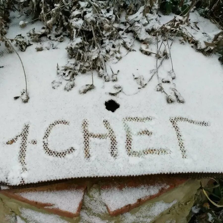 Первый снег. Открытки с первым снегом. Надпись на снегу. Поздравление с первым снегом.