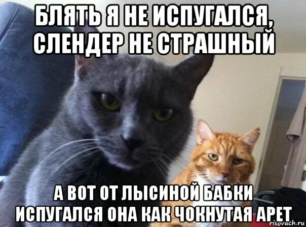 Заблудиться в трех соснах рисунок. Без связи в лесу. Объявление о пропаже. Снова потерялся. Снова потерялся.
