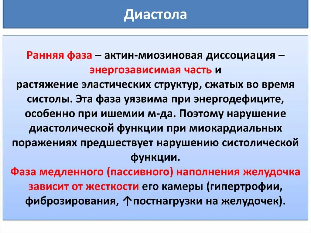 Фазы диастолы. Нарушение диастолы. функция диастолы. диастола.