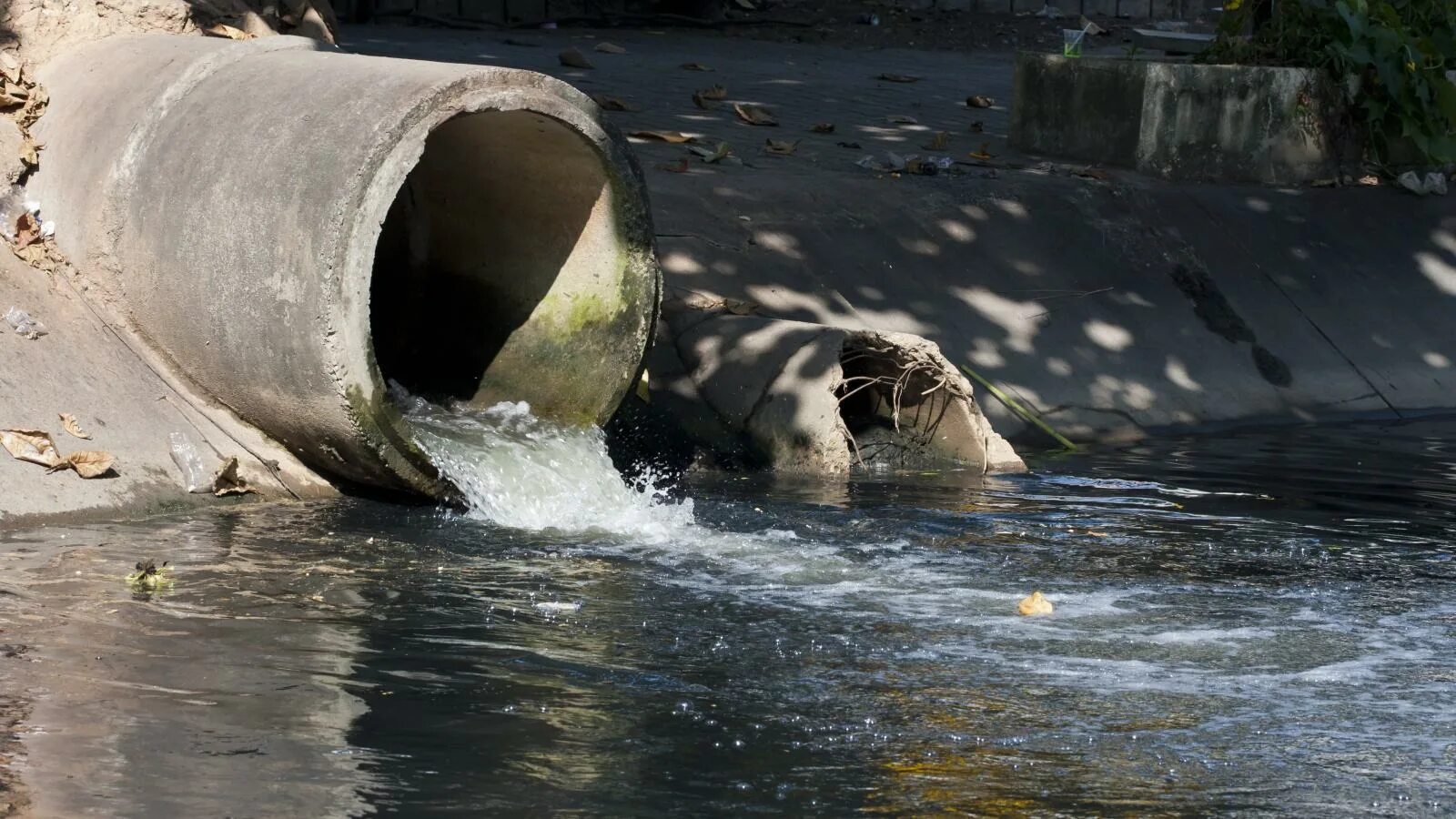 Загрязнение рек сточными водами. Сточные воды Ярославль Волга. Загрязнение водоемов Краснодарского края. Завод загрязняет реку. Канализационные стоки.