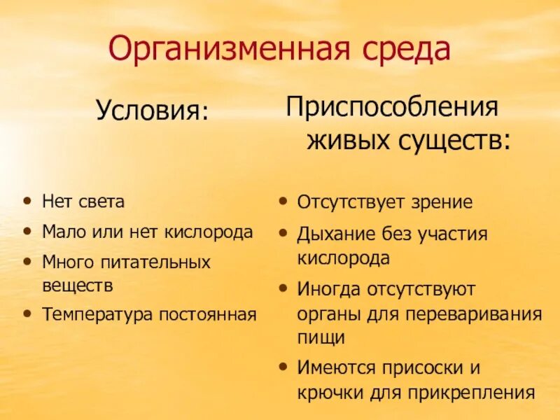 Организменная жизнь условия. Условия организменной среды. Организменная среда примеры. Особенности организменной среды. Приспособления живых организмов в организменной среде.