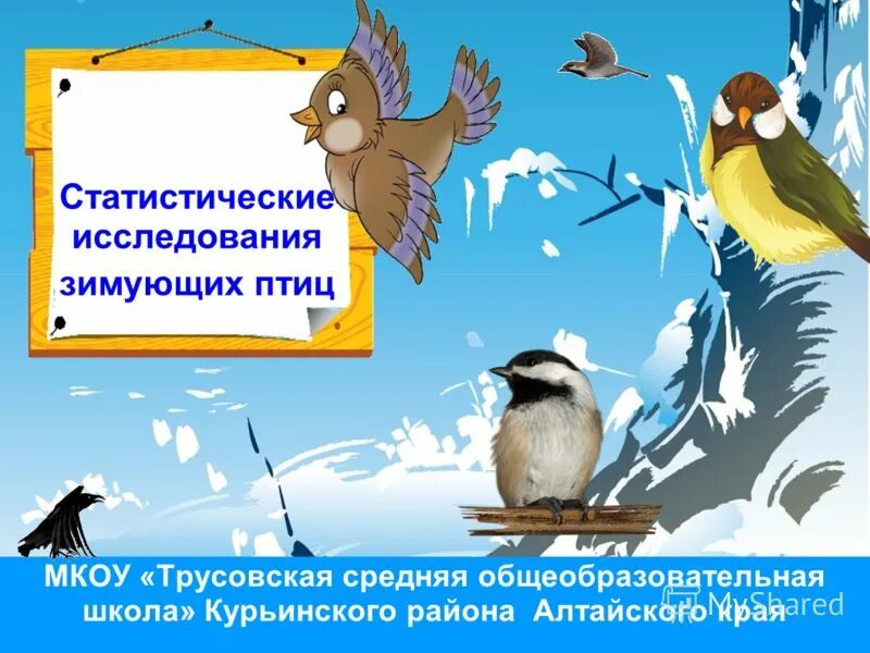 исследовательская работа зимующие птицы