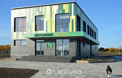 Дк лесное