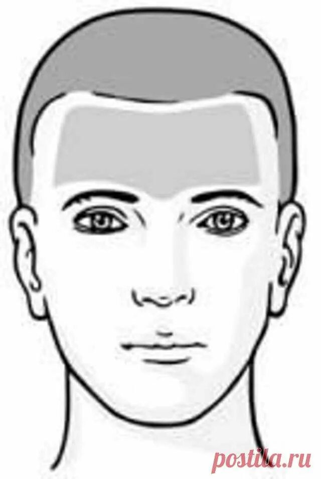 Лба 2 8. Мужское лицо. Части тела лоб. Лицо (часть тела). Лоб схематично.