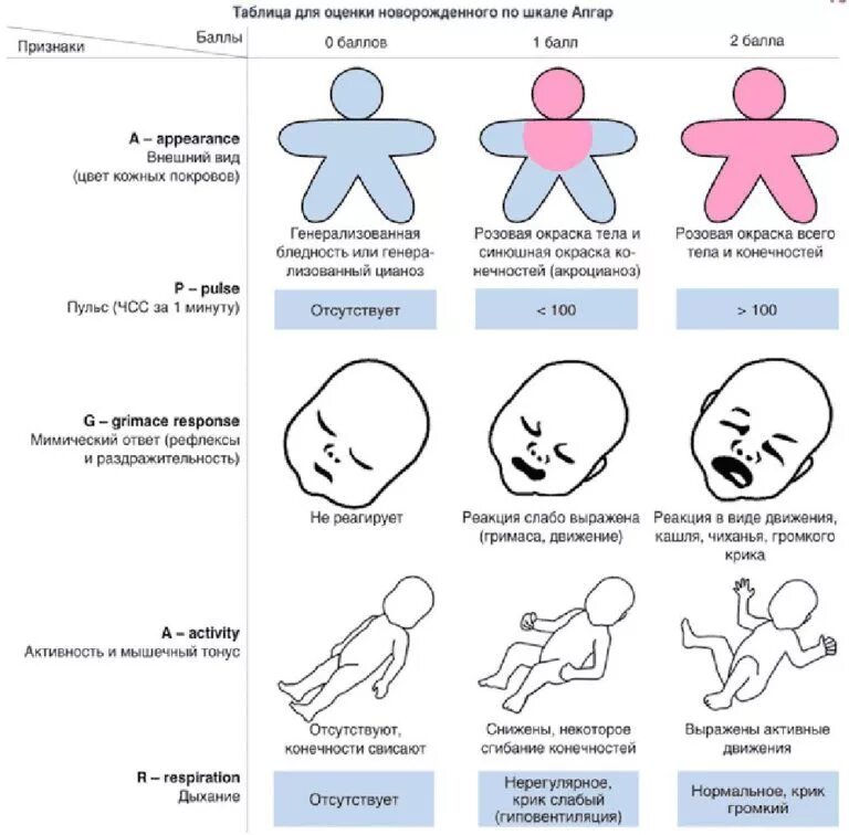 Показатели новорожденного ребенка по шкале Апгар. Таблица для оценки новорожденного по шкале Апгар. Шкала для новорожденных Апгар 8 баллов. Шкала оценки новорожденных Апгар 7-8 баллов.