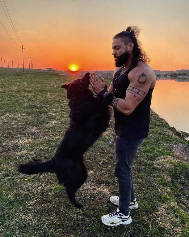 шоу где выживают