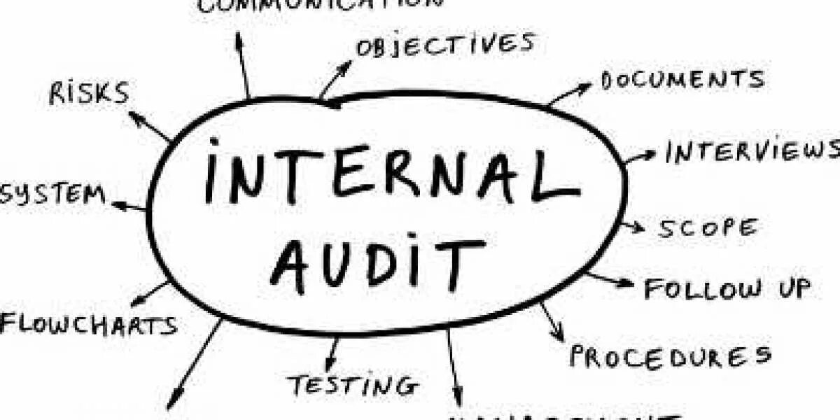 Internal что значит. Internal Audit. Internal Audit Management. Objectives risk Audit надпись. External Audit.