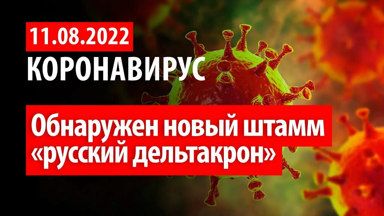 Вакцина субъединичная рекомбинантная («конвасэл. Коронавирус лаборатория. Биологическая лаборатория. Короновирусная инфекция. Исследований на наличие нового коронавируса.
