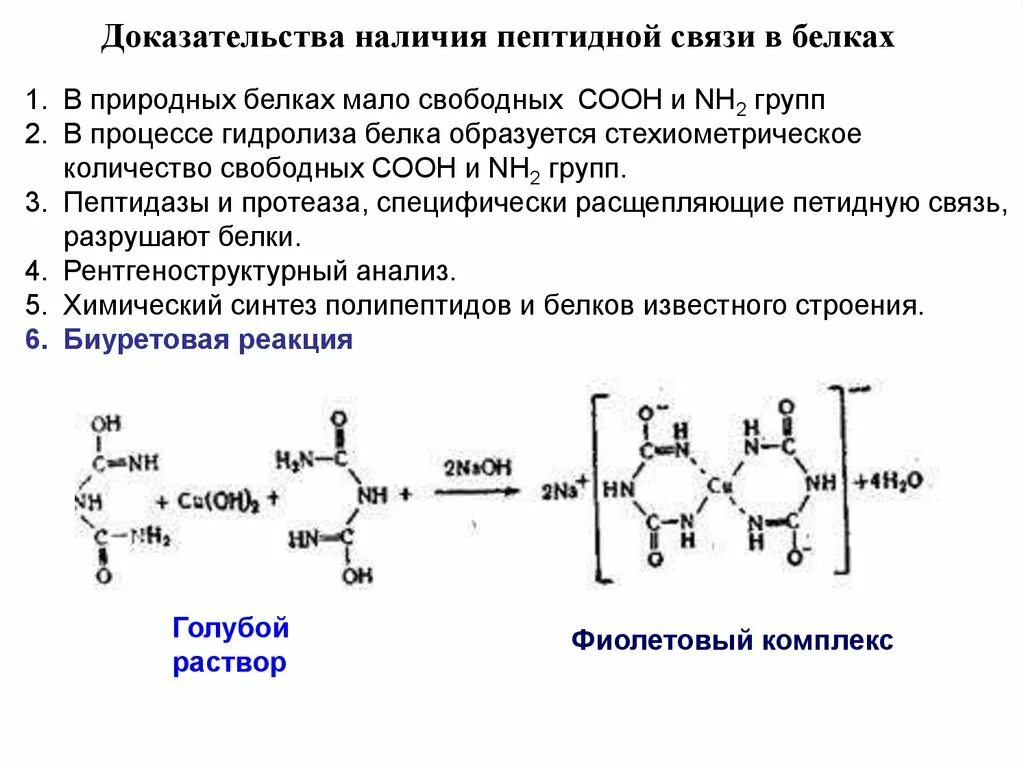 2 при гидролизе белка образуются. Биуретовая реакция на пептидную связь. Качественная реакция на пептидную связь. Пептидная связь в белках. Строение пептидной связи.