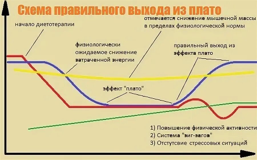 Похудение остановилось что делать. Эффект плато при похудении что делать. Почему останавливается снижение веса при похудении. Вес встал при похудении. Вес остановился при похудении.