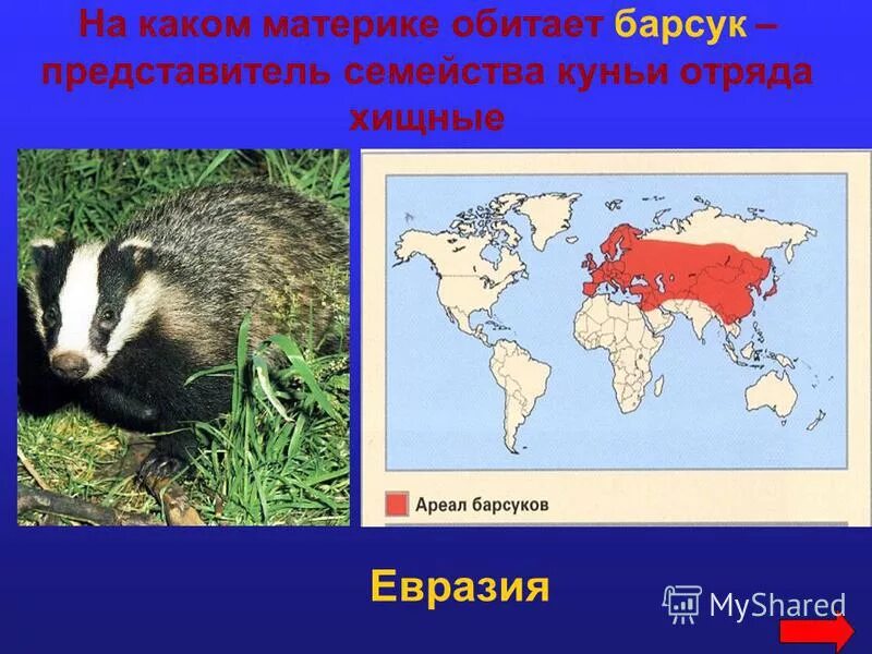 на каком материке обитает зубр