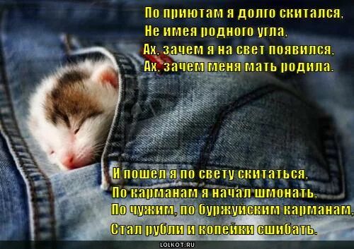 Векерлен менуэт экзоде ноты. Цитаты из стихов. Ах зачем я на свет появился текст. Ах зачем я на свет появился текст. Зачем я появилась на свет.