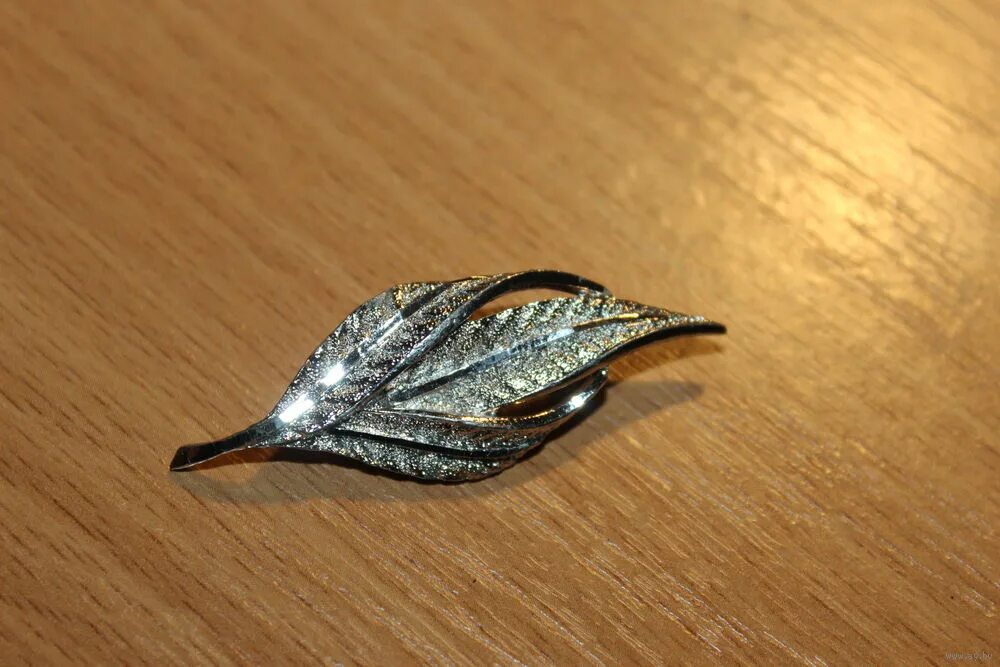 Их листочки блестели. Цветной лист. Кленовый лист сахарного клена. Их листочки блестели. Их листочки блестели.