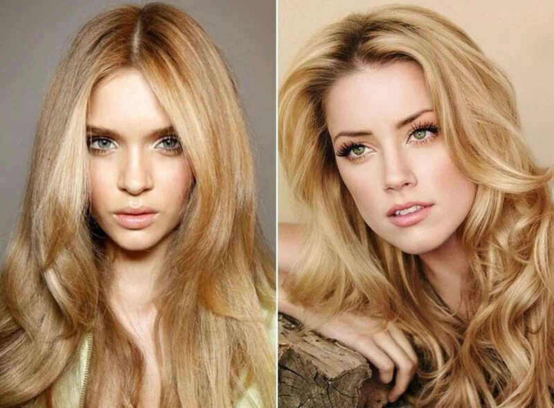 группа челси участники. челси группа музыкальная. солистка группы виагра меседа.