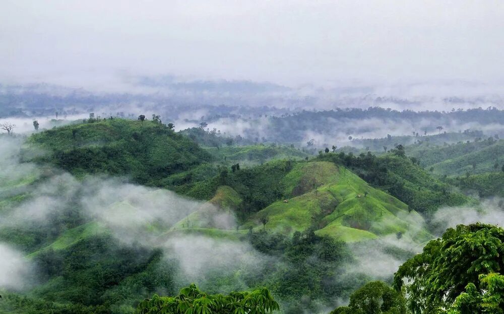 Гора Мовдок в Бангладеше. Бангладеш климат. Дакка Бангладеш природа. Бангладеш природа климат. Природный потенциал индии