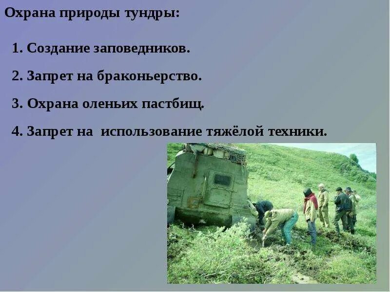 Проблемы в зоне тундры 4 класс. Охрана природы тундры. охрана природной зоны тундры. охрана природы тундры 4 класс. озранная природы тундра.