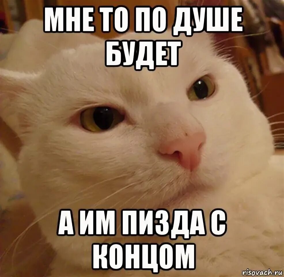 никита литвинков и вообще он меня бесит. меня бесят люди. бесит когда меня судят те. бесишь меня. бесит все картинки.