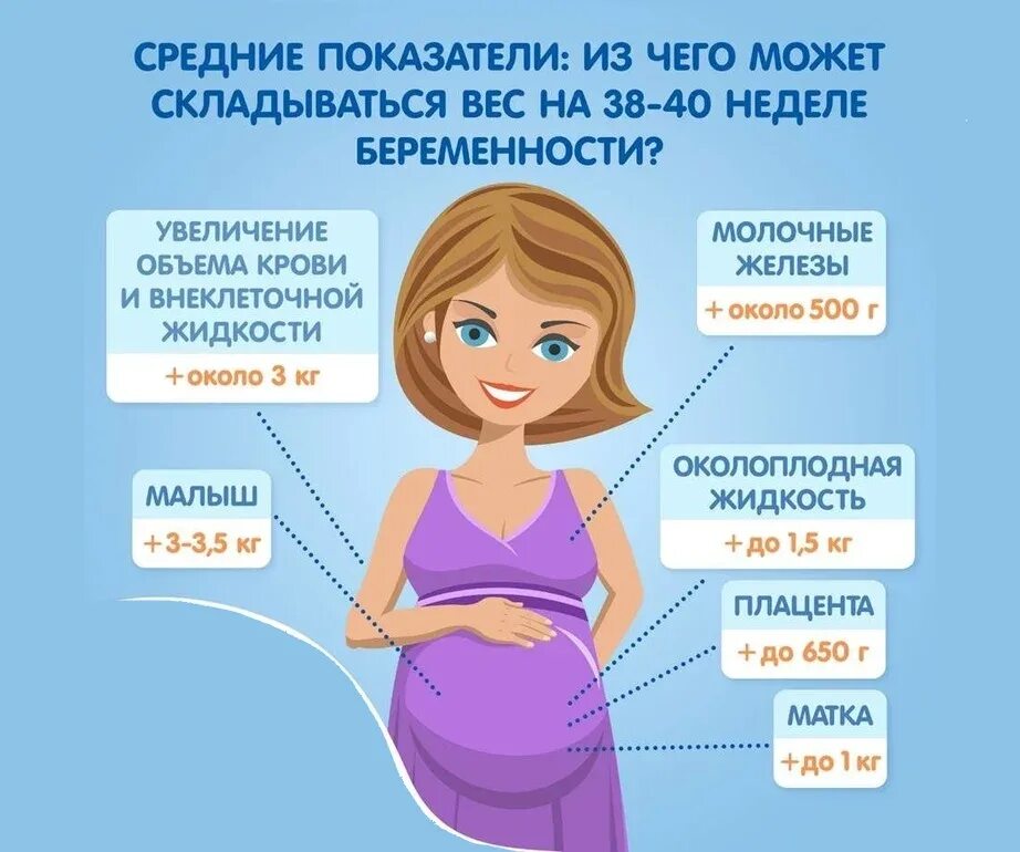 Вес по неделям беременности. Недели при беременности. Беременность вес ребенка. Вес малыша при беременности. 3 триместр сроки