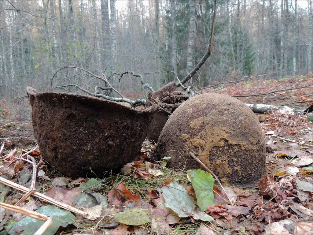 Эхо военные. Ленинградская область Эхо войны.