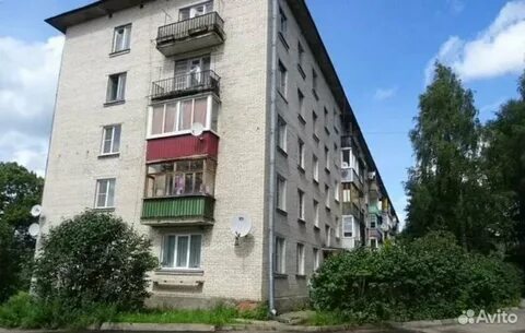 Ленинградская область луга квартира
