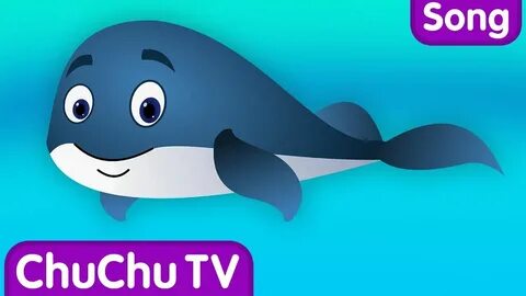 Whale song