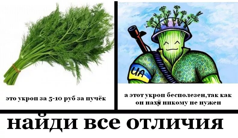 Укропы против. Приколы про укропов. Смешной укроп. Шутки про укропов.