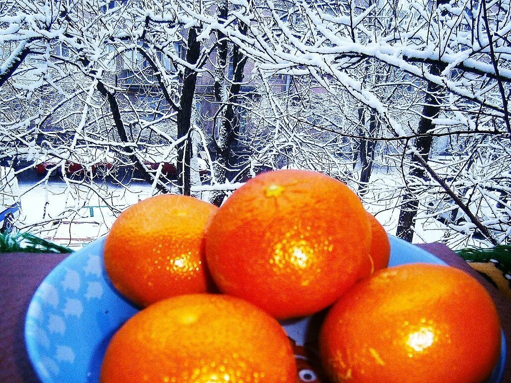 Зимние фрукты. Снежные фрукты. Фрукты в снегу. Красивые зимние фрукты.