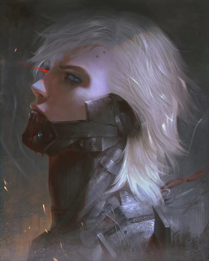 Raiden art