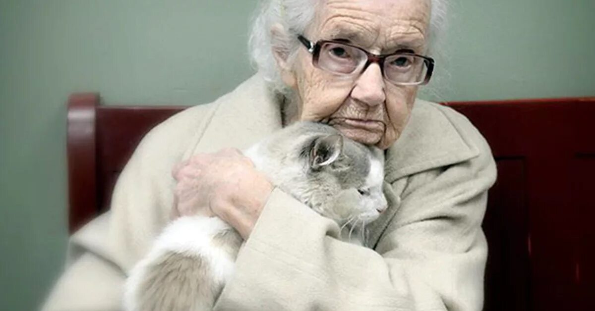 Бабушка с котом. Пожилые люди и животные. Пожилая женщина с котом. Бабушка с котиком.