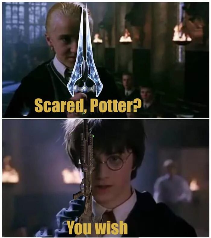 Scared Potter. Scared Potter you Wish. Which Potter you today. Scared Potter перевод на русский.