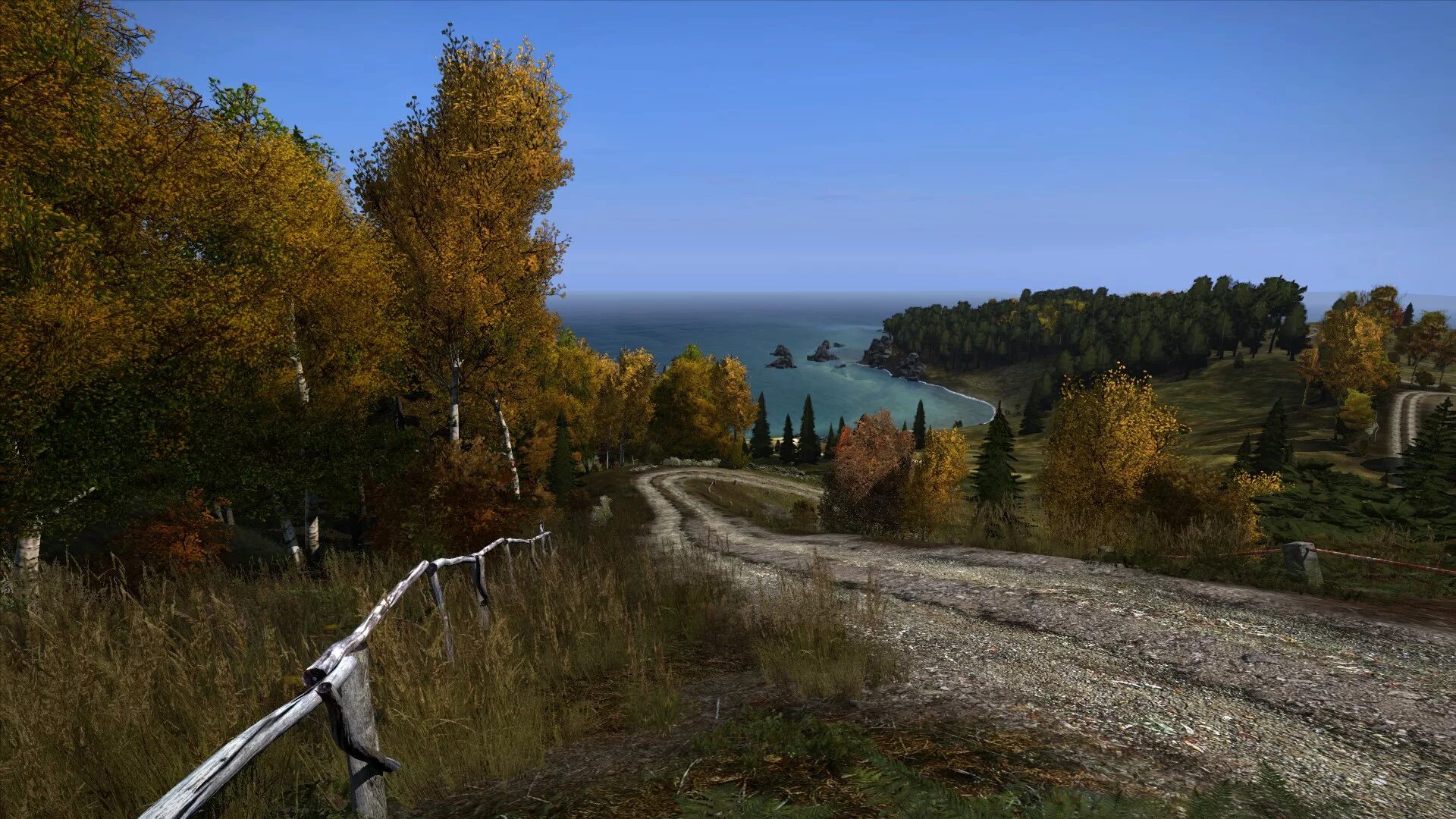 Dayz standalone. Дейзи скриншоты. dayz livonia лес. dayz скрины. dayz панорама.