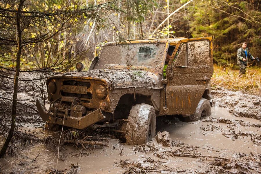 Кабанья тропа на снегу. Кабанья тропа. Кабанья тропа. Кабаньи тропы. Кабанья тропа джабык.