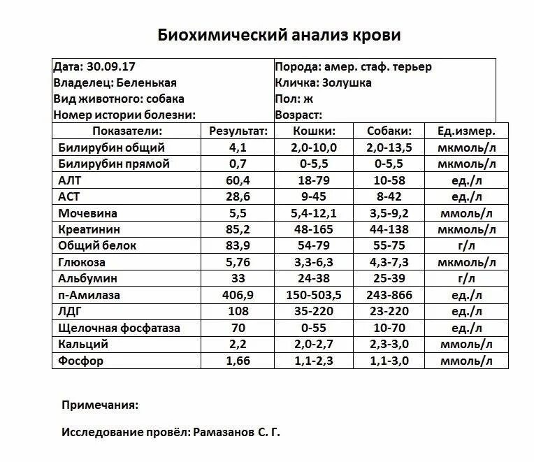 Анализ крови на лдг