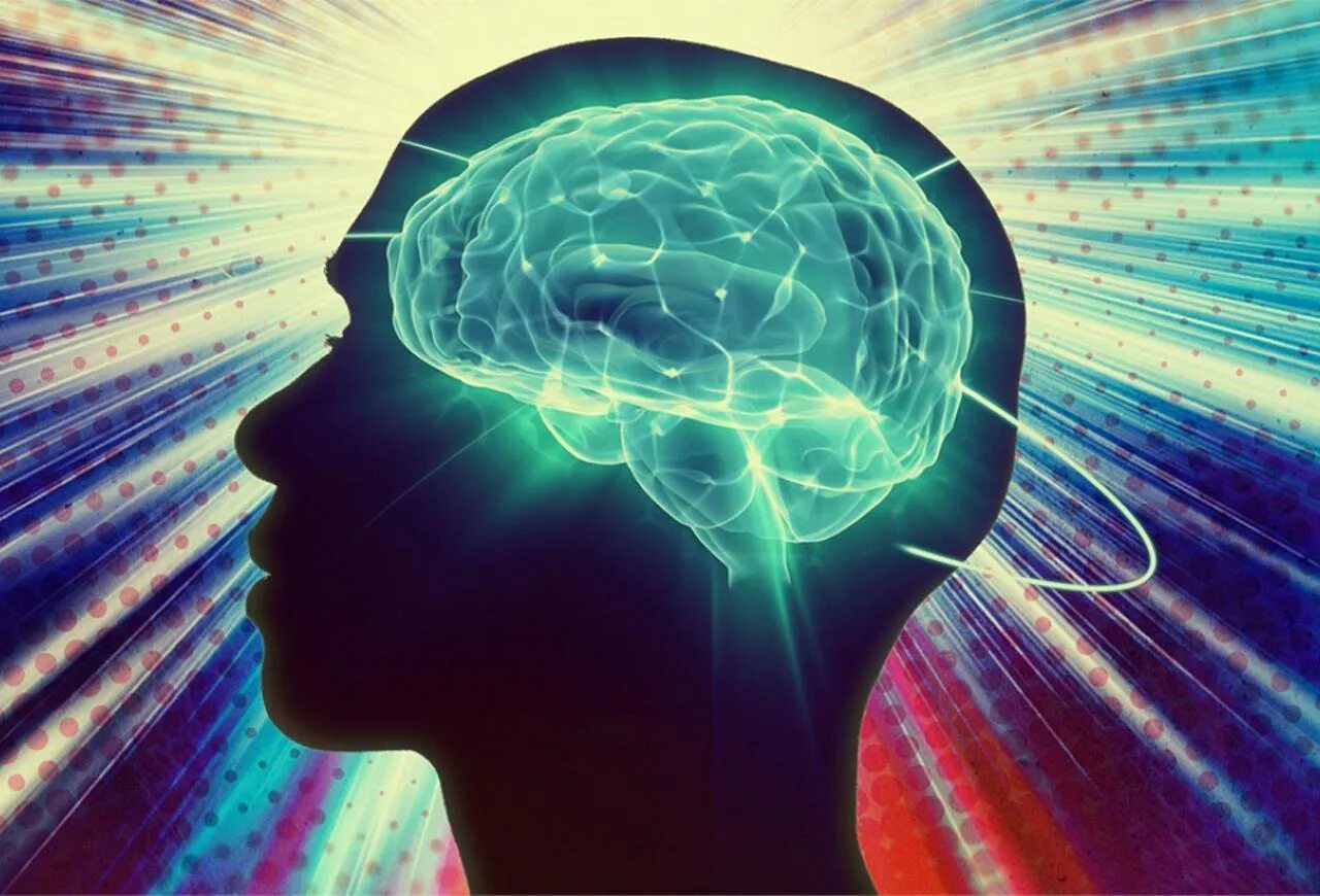 Brain information. Умный мозг. Развивающийся мозг. Сознание человека.