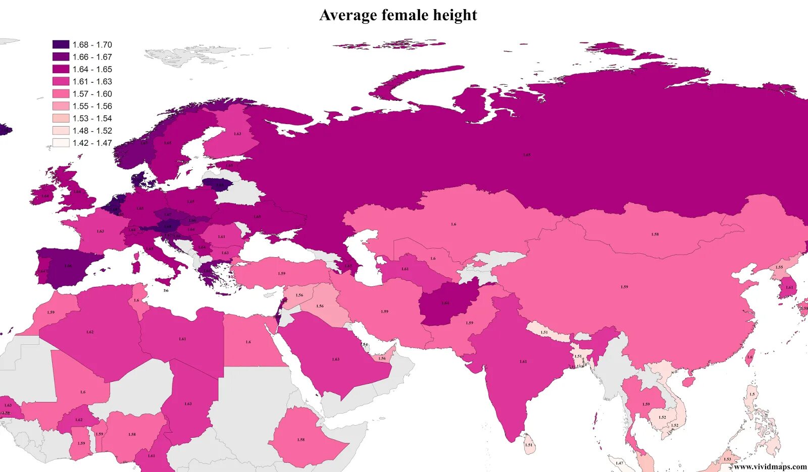 On average hear. Average male height. Europe average heights. Average World height. Average women height.