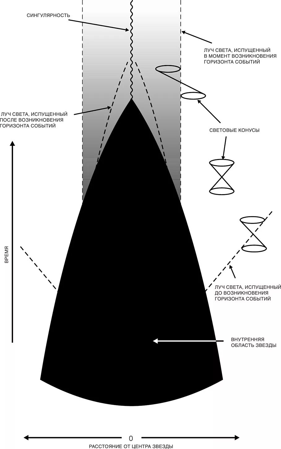 История времени сайтов. Черная дыра Горизонт событий сингулярность. Краткая история времени. От большого взрыва до черных дыр. Сингулярность черной дыры схема. Световой конус черной дыры.