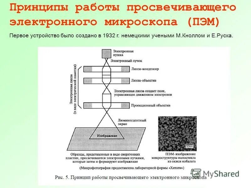 Схема работы просвечивающего электронного микроскопа. Просвечивающий электронный микроскоп схема. Просвечивающий (трансмиссионный) электронный микроскоп (пэм). Просвечивающая электронная микроскопия схема. Схема работы растрового электронного микроскопа.