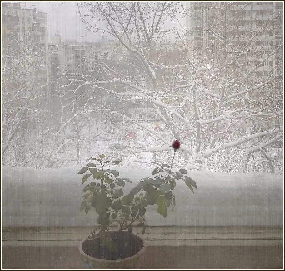 Ilgiz за окном дождь. Метель за окном. Снег за окном. Метель в окне. Мокрый снег за окном.