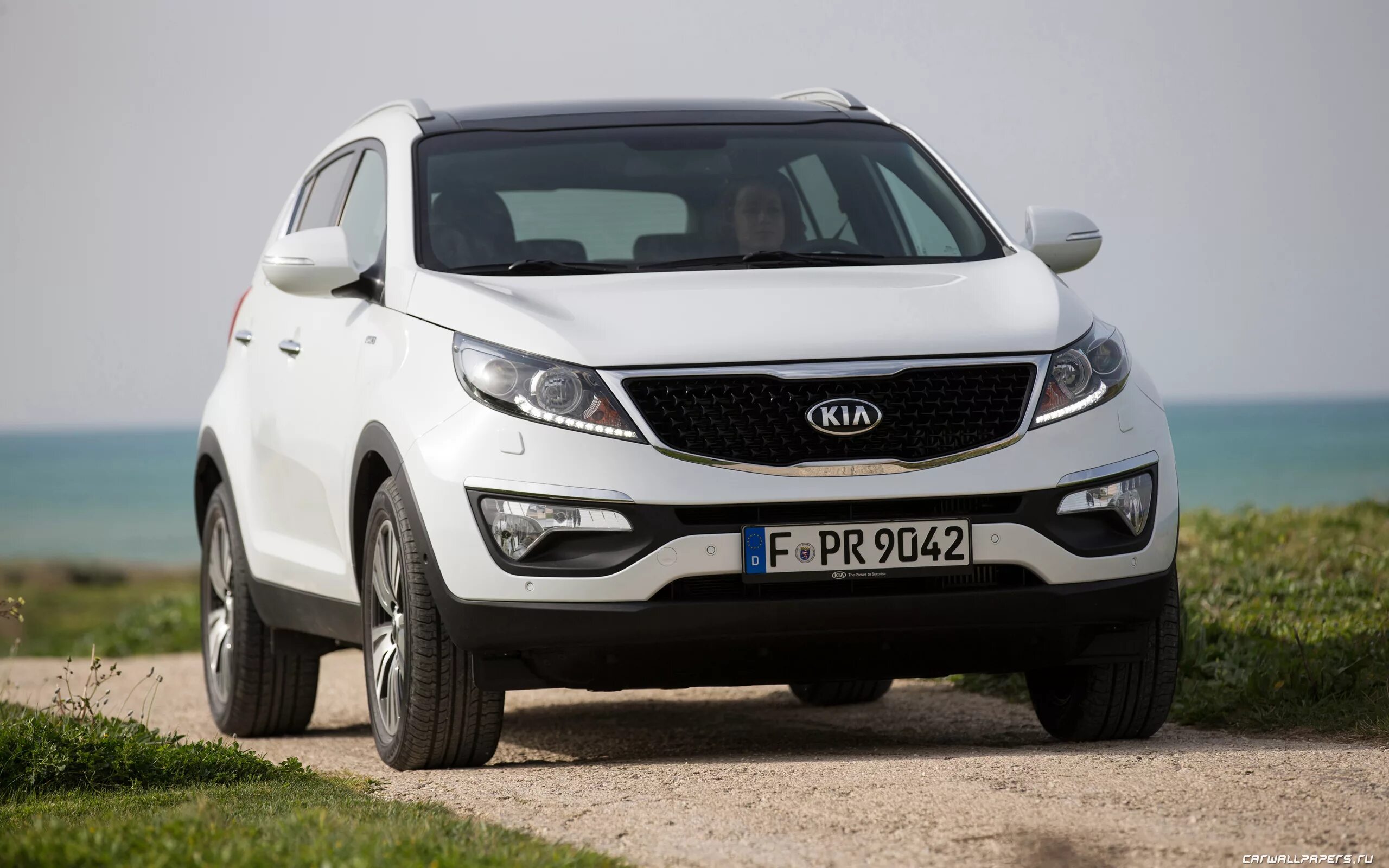 Kia Sportage 2014. Киа Спортейдж 2014. Kia Sportage 2015. Спортейдж 2015 Киа Спортейдж.