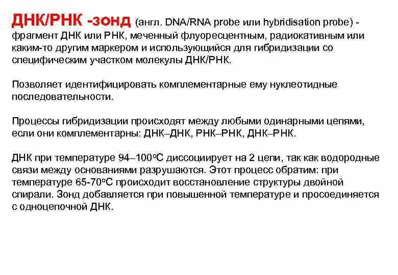 Днк зонд. РНК-зонды. Что такое генетический зонд (ДНК-зондов)?. ДНК И РНК зонды. Метод РНК зонда.