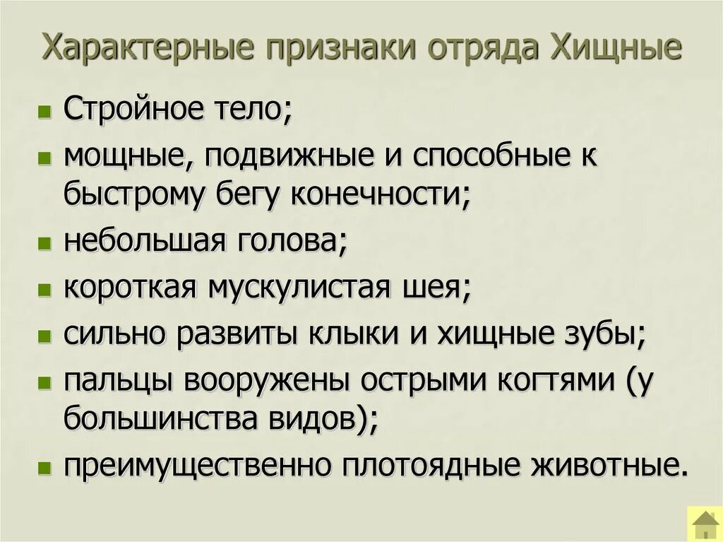 Характерные признаки изображения. Отряд хищные общая характеристика. отряд хищные признаки отряда. характеристика отряда хищные. особенности строения хищных.