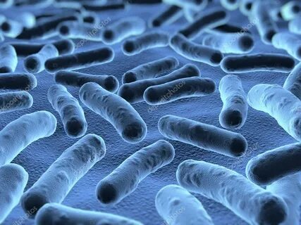 Күйеуіммен үйдегі жыныстық қатынасты қараңыз