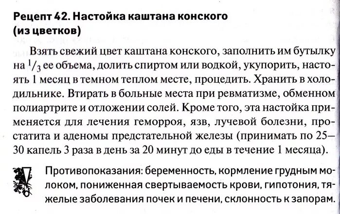 Настойка конского каштана рецепт. Как принимать настойку конского каштана. Конский каштан польза. Настойка конского каштана. Настойка из каштана.