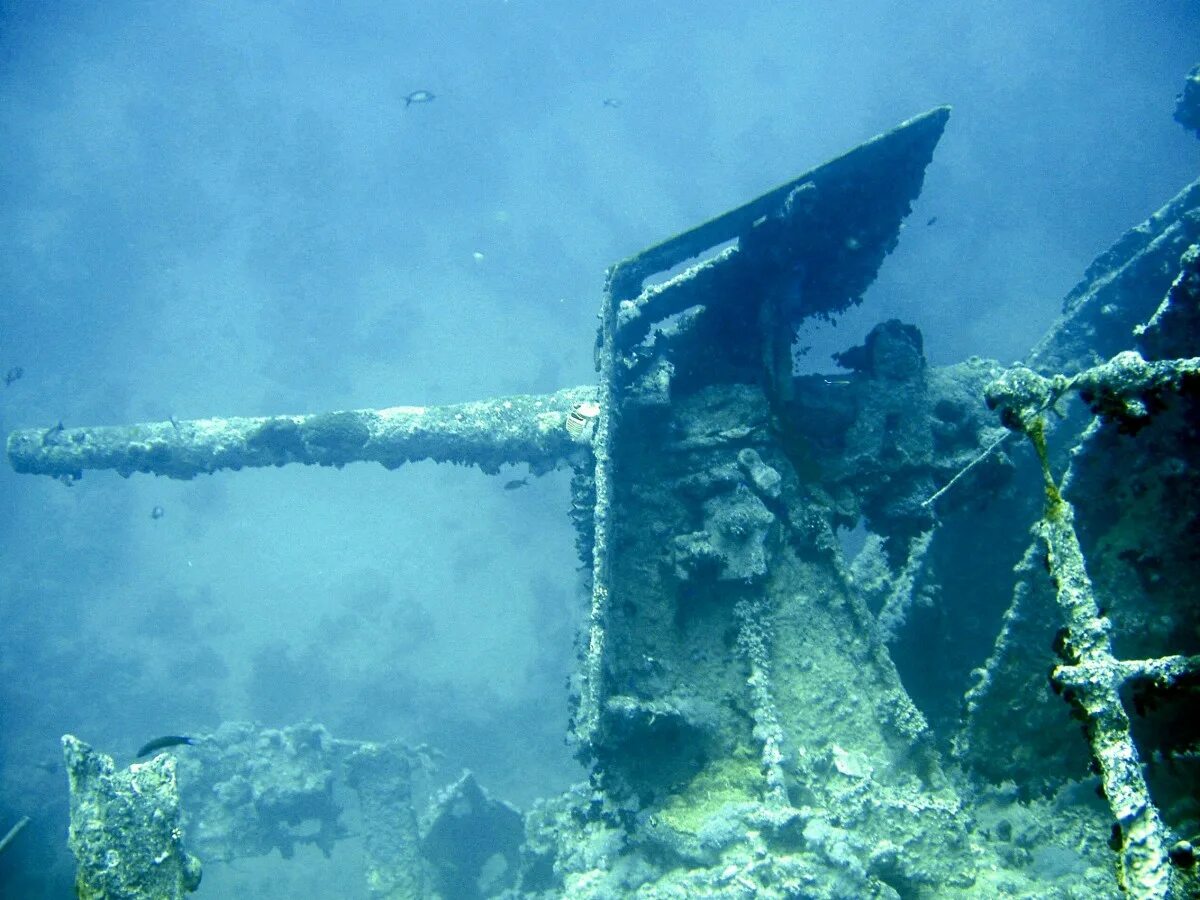 Затонувший корабль 17 века. Затонувший испанский галеон сан хосе. Черное море затонувший древнегреческий корабль. Затонувший испанский галеон сан хосе. Тистлегорм дайвинг.