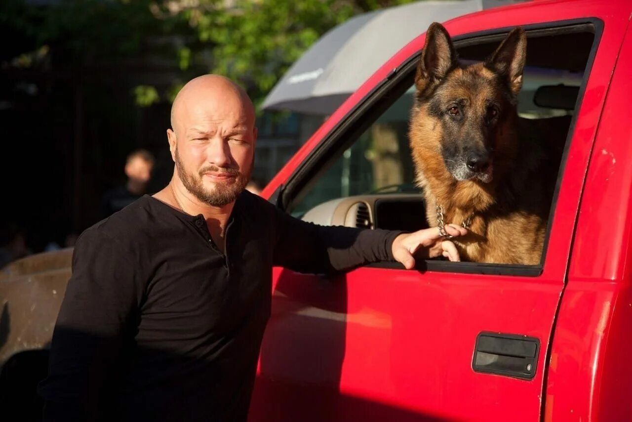 Когда выйдет новый пес. Пес 5. Когда выйдет новый пес. Когда выйдет новый пес. Когда выйдет новый пес.