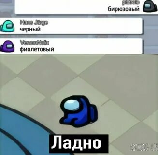 Амонг ас дзен