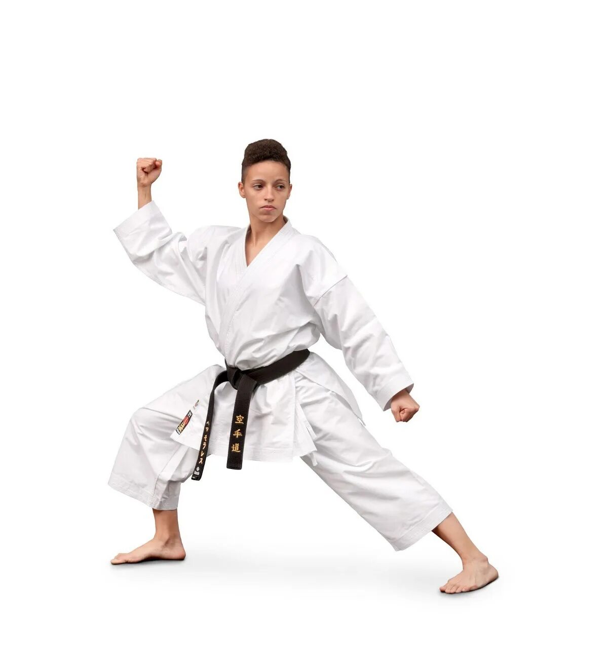 Мод на карате. Мод на карате. 3d модели карате. Кимоно карате 3д. Каратэ 0.