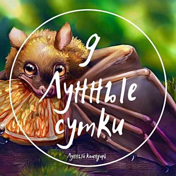 Символ 9 лунных суток. 9 июля лунный день. 9 июля лунный день. 9 июля лунный день. 9 июля лунный день.
